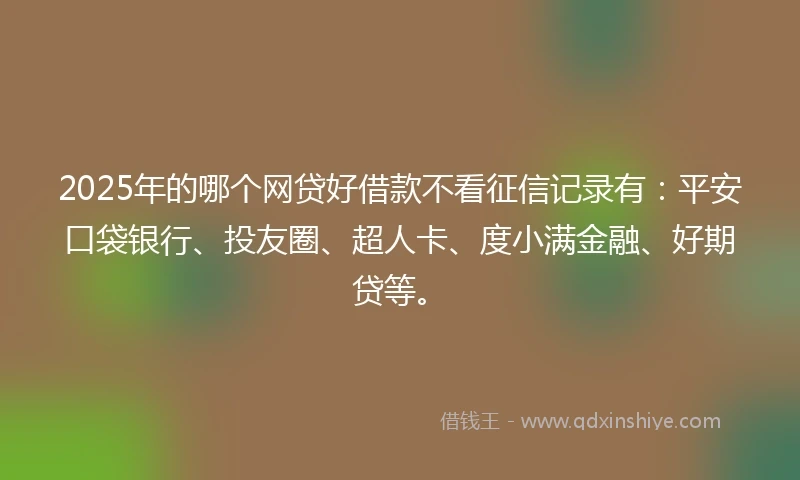 2025年的哪个网贷好借款不看征信记录有：平安口袋银行、投友圈、超人卡、度小满金融、好期贷等。