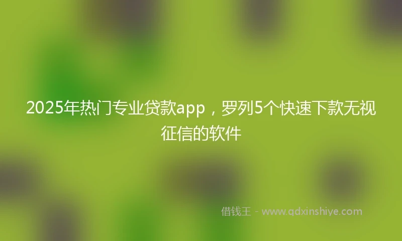 2025年热门专业贷款app，罗列5个快速下款无视征信的软件