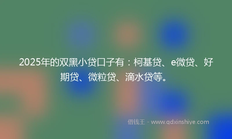 2025年的双黑小贷口子有：柯基贷、e微贷、好期贷、微粒贷、滴水贷等。