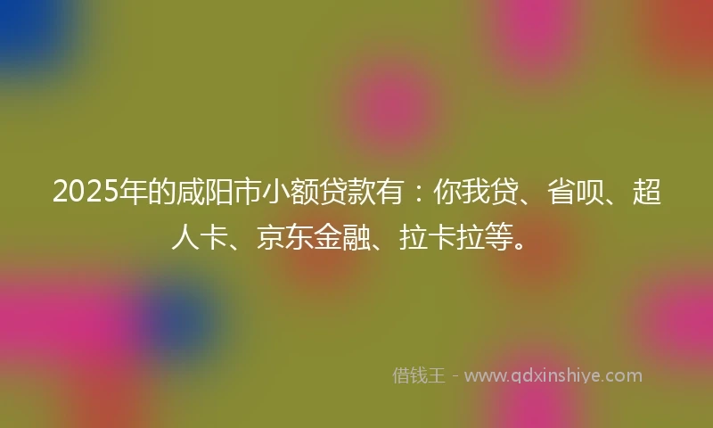 2025年的咸阳市小额贷款有：你我贷、省呗、超人卡、京东金融、拉卡拉等。