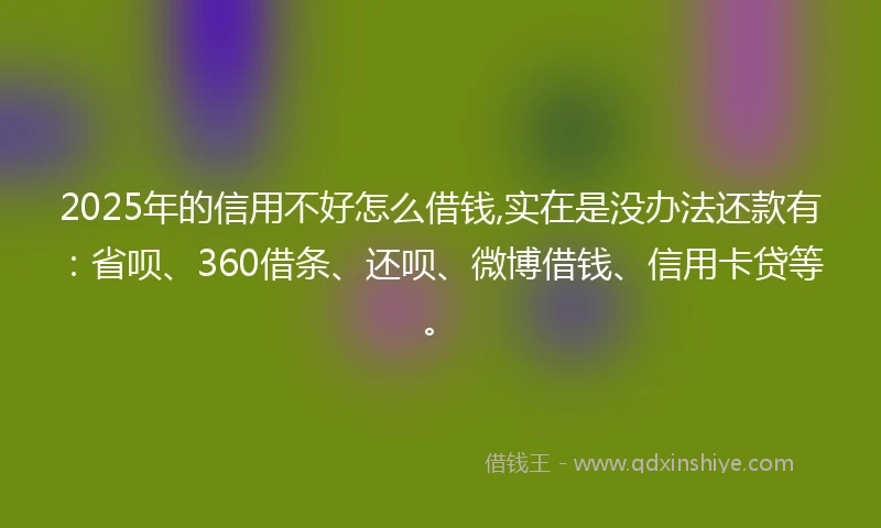 2025年的信用不好怎么借钱,实在是没办法还款有：省呗、360借条、还呗、微博借钱、信用卡贷等。
