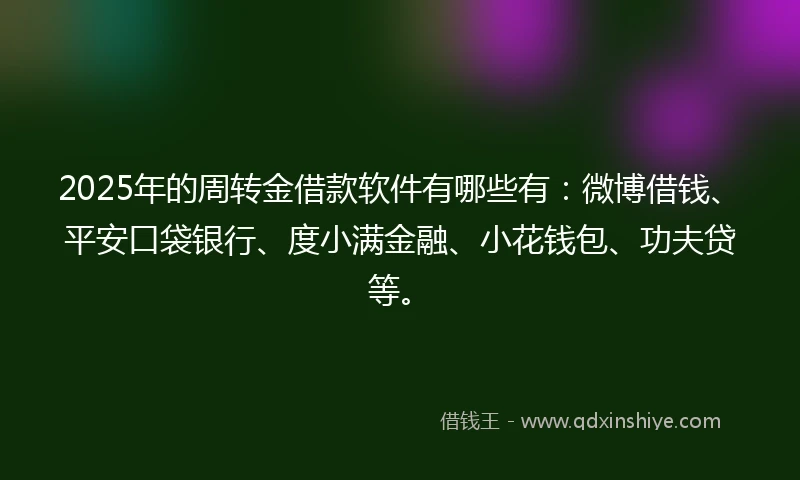 2025年的周转金借款软件有哪些有：微博借钱、平安口袋银行、度小满金融、小花钱包、功夫贷等。