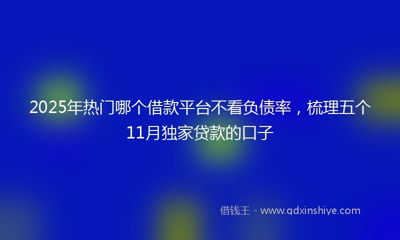 2025年热门哪个借款平台不看负债率，梳理五个11月独家贷款的口子