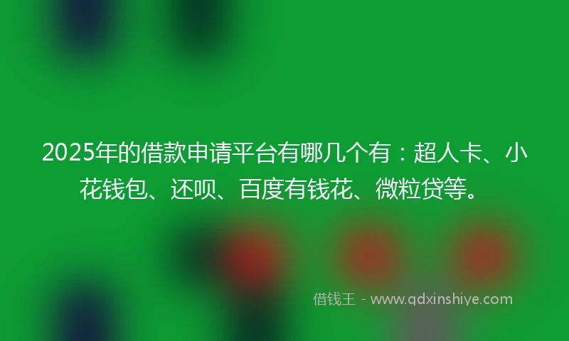 2025年的借款申请平台有哪几个有：超人卡、小花钱包、还呗、百度有钱花、微粒贷等。
