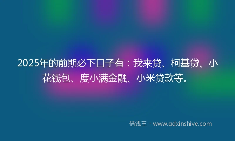 2025年的前期必下口子有：我来贷、柯基贷、小花钱包、度小满金融、小米贷款等。