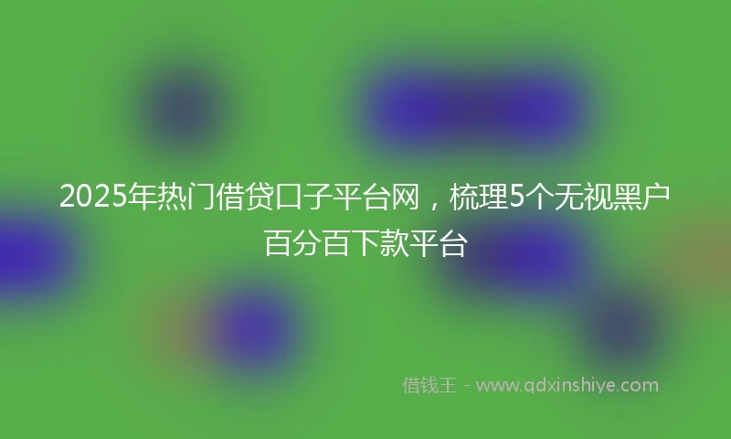 2025年热门借贷口子平台网，梳理5个无视黑户百分百下款平台