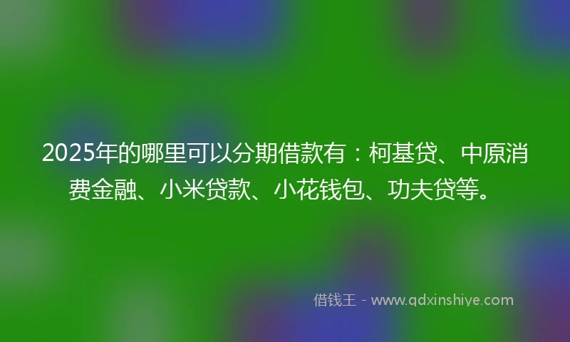 2025年的哪里可以分期借款有：柯基贷、中原消费金融、小米贷款、小花钱包、功夫贷等。