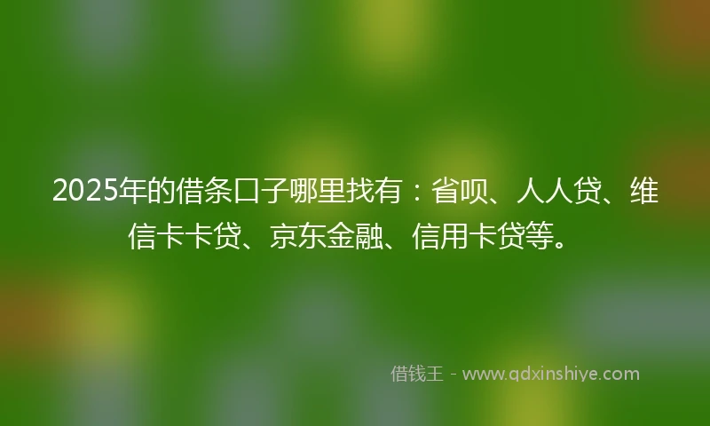 2025年的借条口子哪里找有:省呗、人人贷、维信卡卡贷、京东金融、信用卡贷等。