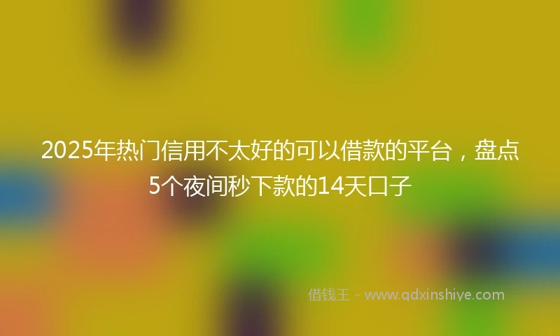 2025年热门信用不太好的可以借款的平台，盘点5个夜间秒下款的14天口子