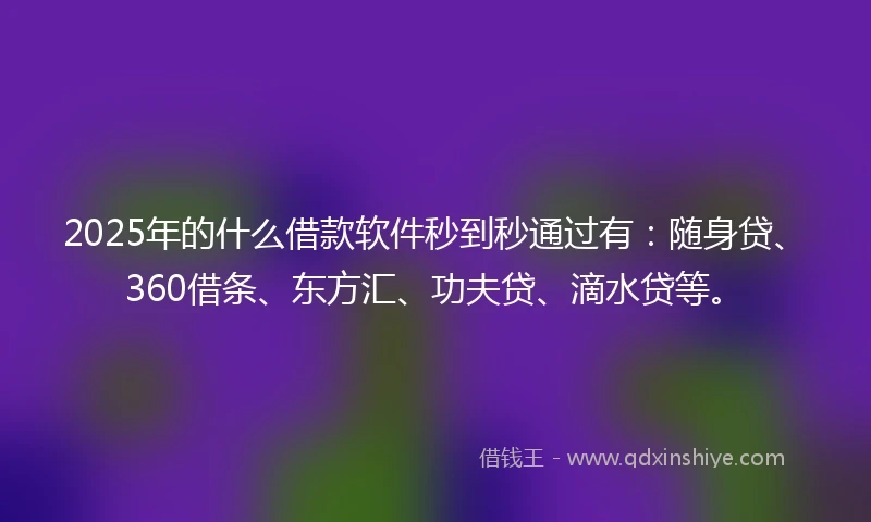 2025年的什么借款软件秒到秒通过有：随身贷、360借条、东方汇、功夫贷、滴水贷等。