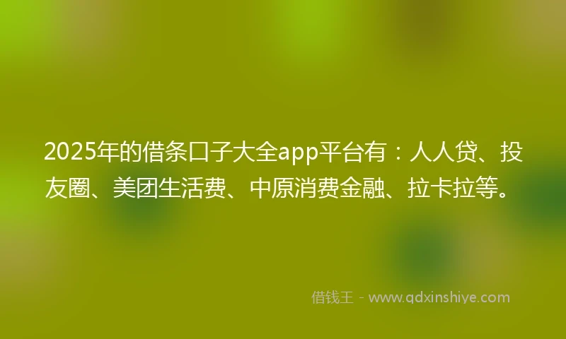 2025年的借条口子大全app平台有：人人贷、投友圈、美团生活费、中原消费金融、拉卡拉等。