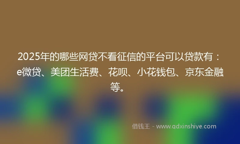 2025年的哪些网贷不看征信的平台可以贷款有：e微贷、美团生活费、花呗、小花钱包、京东金融等。