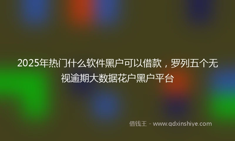 2025年热门什么软件黑户可以借款，罗列五个无视逾期大数据花户黑户平台