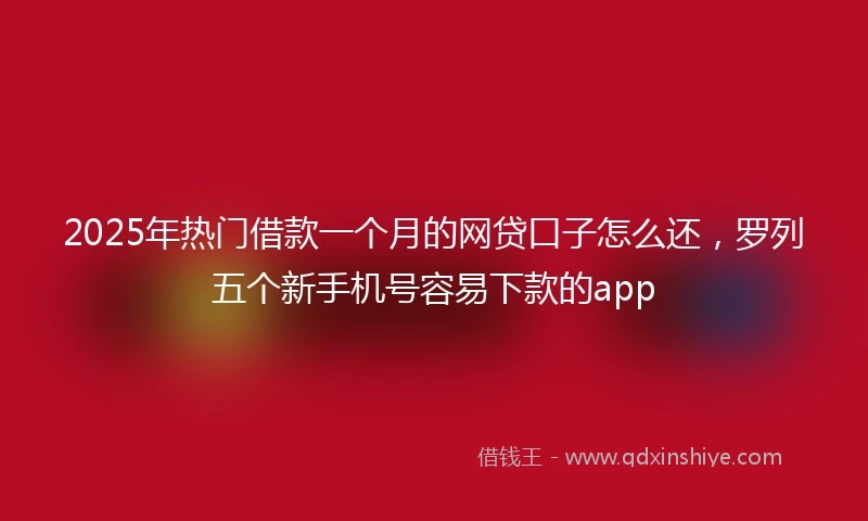 2025年热门借款一个月的网贷口子怎么还，罗列五个新手机号容易下款的app