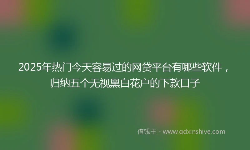 2025年热门今天容易过的网贷平台有哪些软件，归纳五个无视黑白花户的下款口子