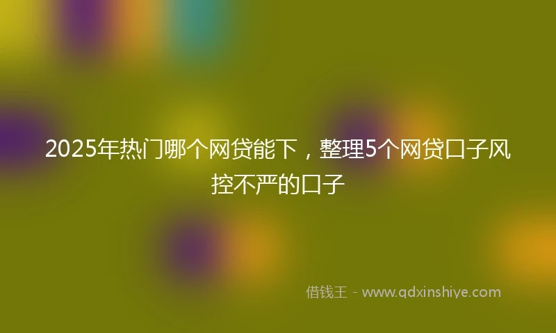 2025年热门哪个网贷能下，整理5个网贷口子风控不严的口子
