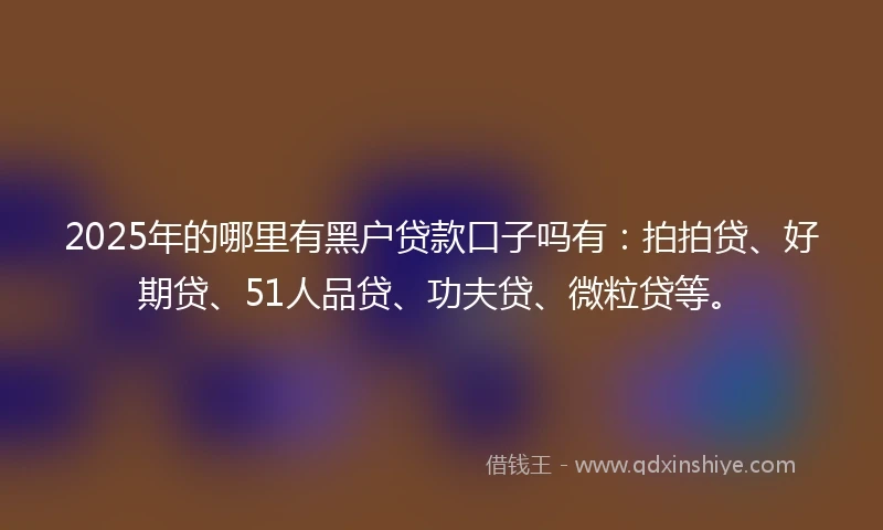 2025年的哪里有黑户贷款口子吗有：拍拍贷、好期贷、51人品贷、功夫贷、微粒贷等。