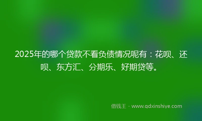 2025年的哪个贷款不看负债情况呢有:花呗、还呗、东方汇、分期乐、好期贷等。