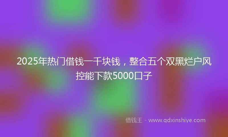 2025年热门借钱一千块钱，整合五个双黑烂户风控能下款5000口子