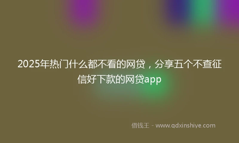2025年热门什么都不看的网贷，分享五个不查征信好下款的网贷app