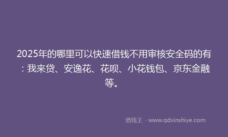 2025年的哪里可以快速借钱不用审核安全码的有：我来贷、安逸花、花呗、小花钱包、京东金融等。