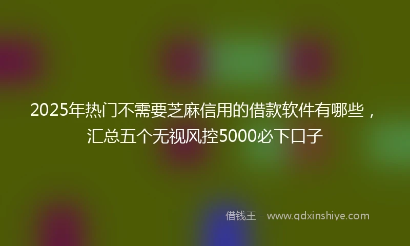 2025年热门不需要芝麻信用的借款软件有哪些，汇总五个无视风控5000必下口子