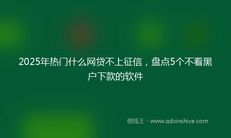 2025年热门什么网贷不上征信,盘点5个不看黑户下款的软件