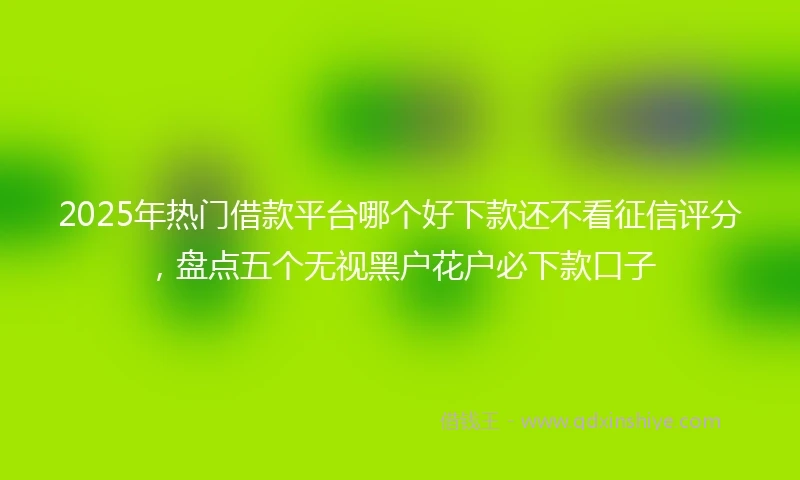 2025年热门借款平台哪个好下款还不看征信评分，盘点五个无视黑户花户必下款口子