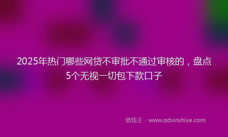 2025年热门哪些网贷不审批不通过审核的,盘点5个无视一切包下款口子