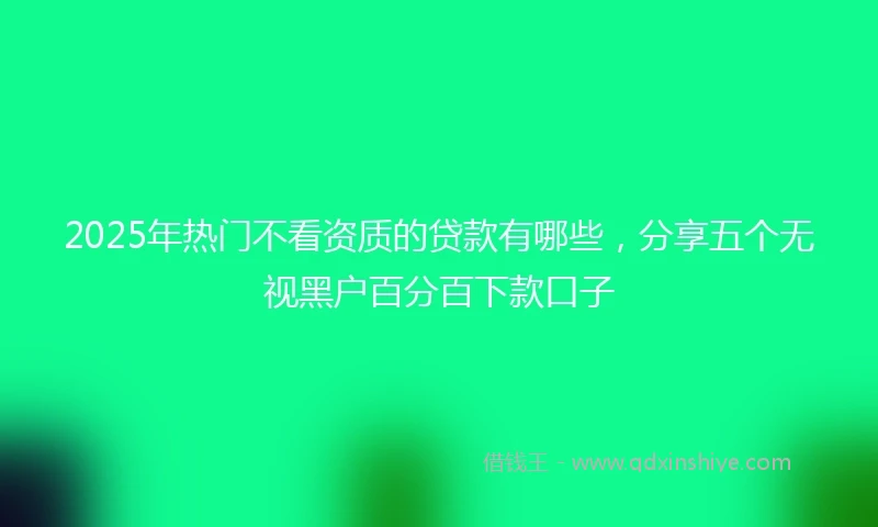 2025年热门不看资质的贷款有哪些，分享五个无视黑户百分百下款口子