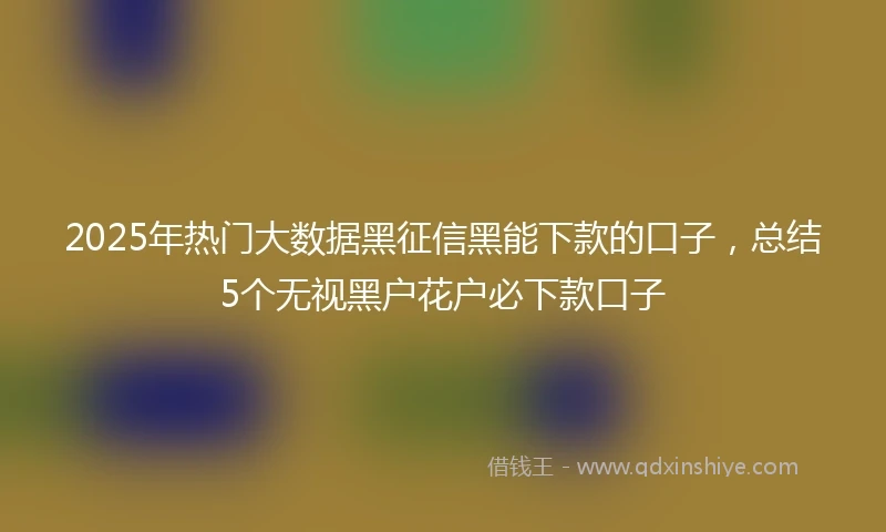 2025年热门大数据黑征信黑能下款的口子，总结5个无视黑户花户必下款口子