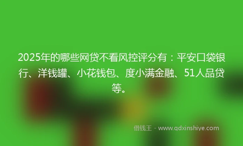 2025年的哪些网贷不看风控评分有：平安口袋银行、洋钱罐、小花钱包、度小满金融、51人品贷等。