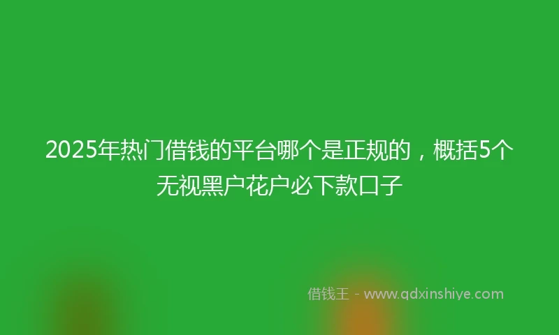 2025年热门借钱的平台哪个是正规的，概括5个无视黑户花户必下款口子