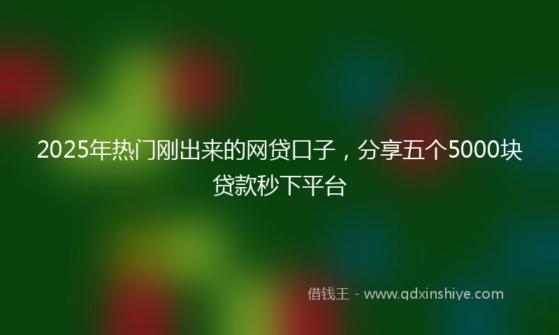 2025年热门刚出来的网贷口子，分享五个5000块贷款秒下平台