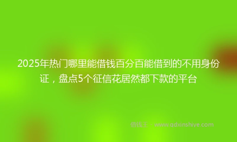 2025年热门哪里能借钱百分百能借到的不用身份证，盘点5个征信花居然都下款的平台