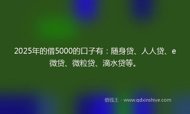 2025年的借5000的口子有：随身贷、人人贷、e微贷、微粒贷、滴水贷等。