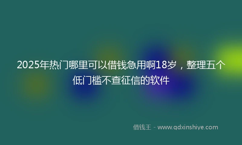 2025年热门哪里可以借钱急用啊18岁，整理五个低门槛不查征信的软件