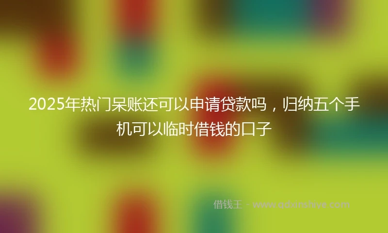 2025年热门呆账还可以申请贷款吗，归纳五个手机可以临时借钱的口子