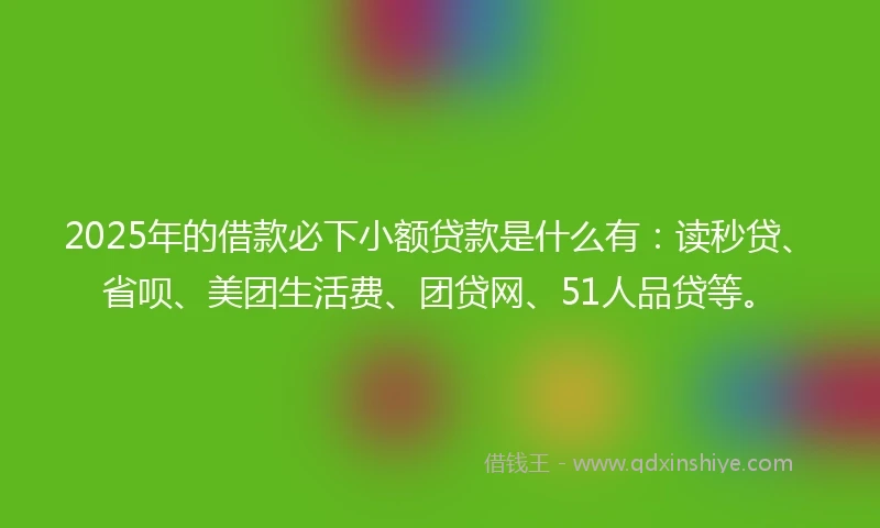 2025年的借款必下小额贷款是什么有：读秒贷、省呗、美团生活费、团贷网、51人品贷等。