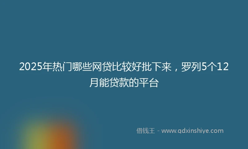 2025年热门哪些网贷比较好批下来，罗列5个12月能贷款的平台