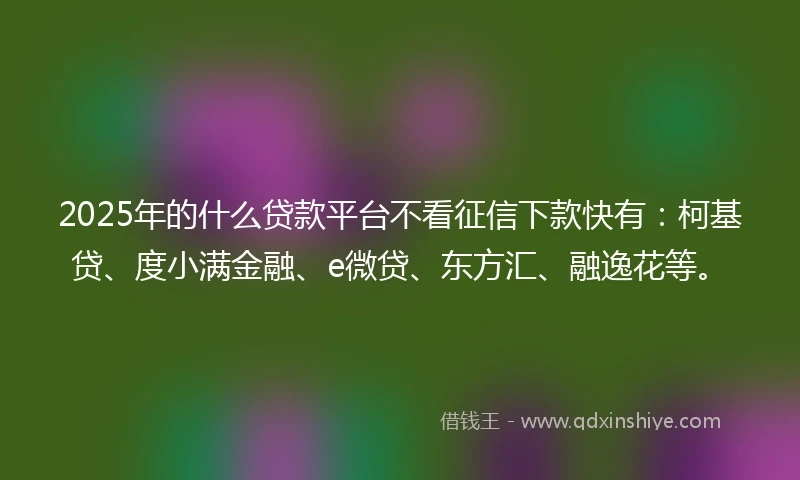 2025年的什么贷款平台不看征信下款快有：柯基贷、度小满金融、e微贷、东方汇、融逸花等。