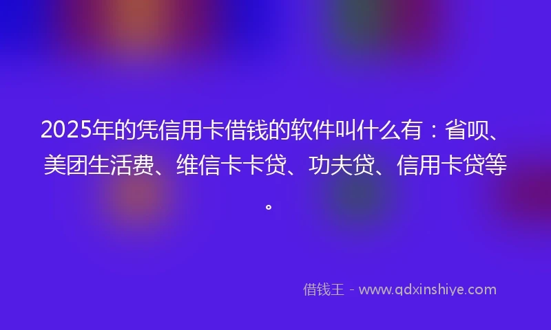 2025年的凭信用卡借钱的软件叫什么有：省呗、美团生活费、维信卡卡贷、功夫贷、信用卡贷等。