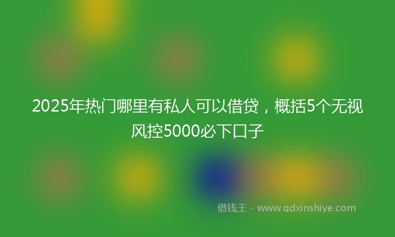 2025年热门哪里有私人可以借贷，概括5个无视风控5000必下口子