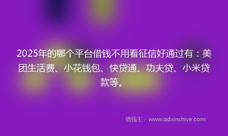 2025年的哪个平台借钱不用看征信好通过有：美团生活费、小花钱包、快贷通、功夫贷、小米贷款等。