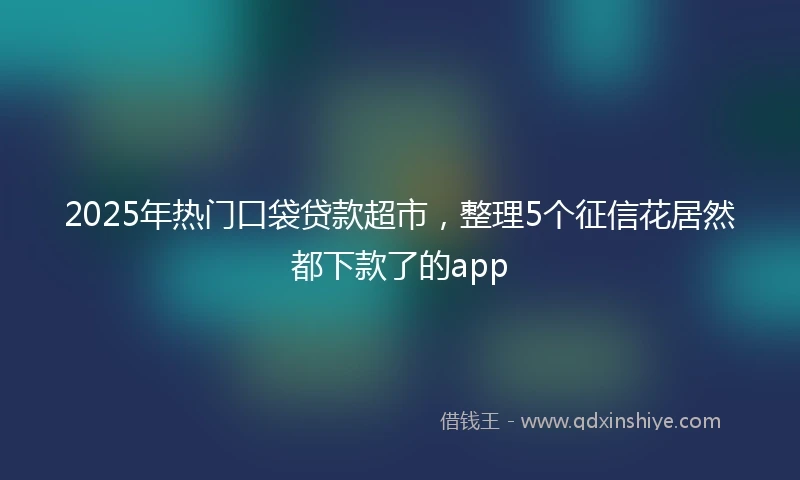 2025年热门口袋贷款超市，整理5个征信花居然都下款了的app