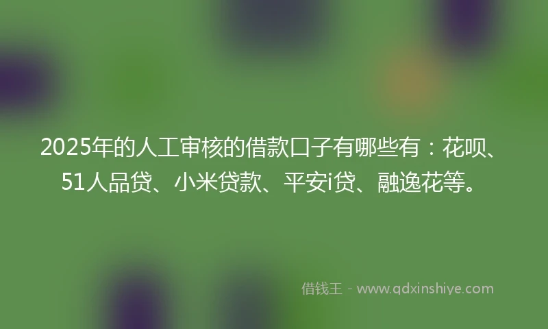 2025年的人工审核的借款口子有哪些有：花呗、51人品贷、小米贷款、平安i贷、融逸花等。