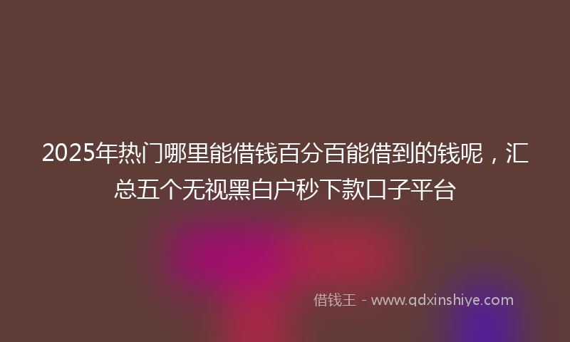 2025年热门哪里能借钱百分百能借到的钱呢，汇总五个无视黑白户秒下款口子平台