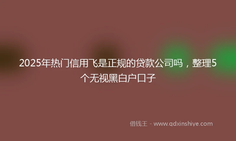 2025年热门信用飞是正规的贷款公司吗，整理5个无视黑白户口子
