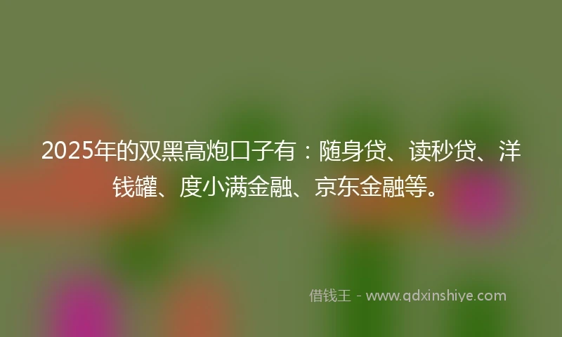2025年的双黑高炮口子有：随身贷、读秒贷、洋钱罐、度小满金融、京东金融等。