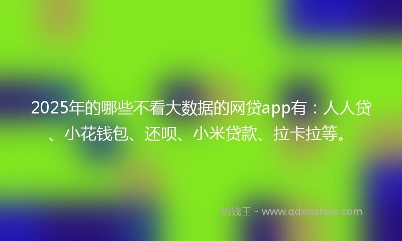 2025年的哪些不看大数据的网贷app有：人人贷、小花钱包、还呗、小米贷款、拉卡拉等。